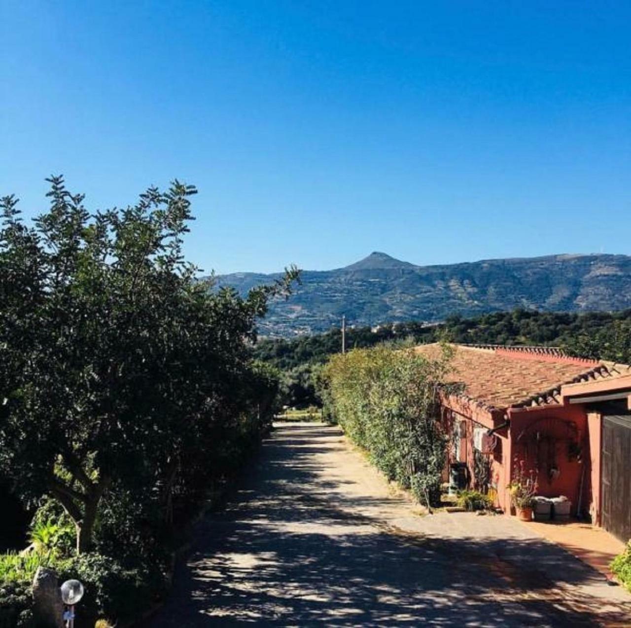 Agriturismo Su Barraccu Villa Loceri Exterior photo